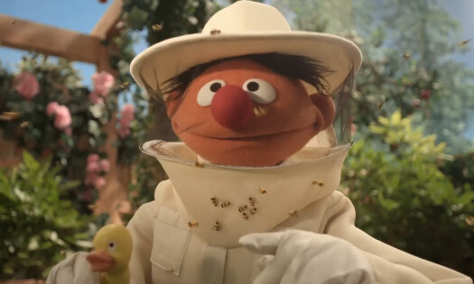 Burt surrounded by bees