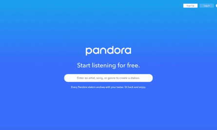 Pandora Technology Website Design