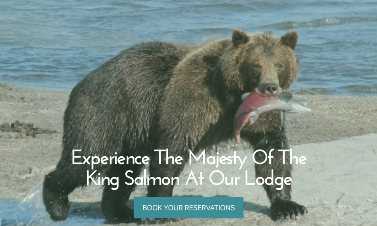 Images of nature and wildlife bring a sense of adventure