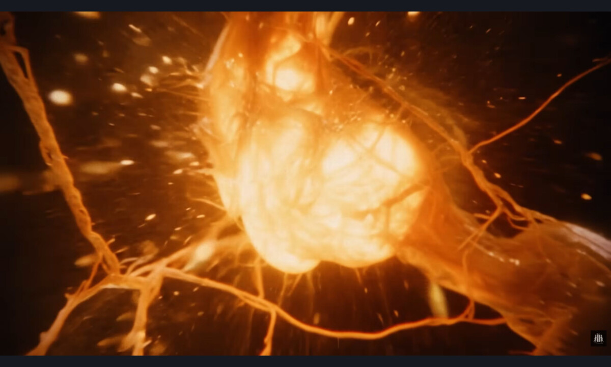 Would You? (slide 3)