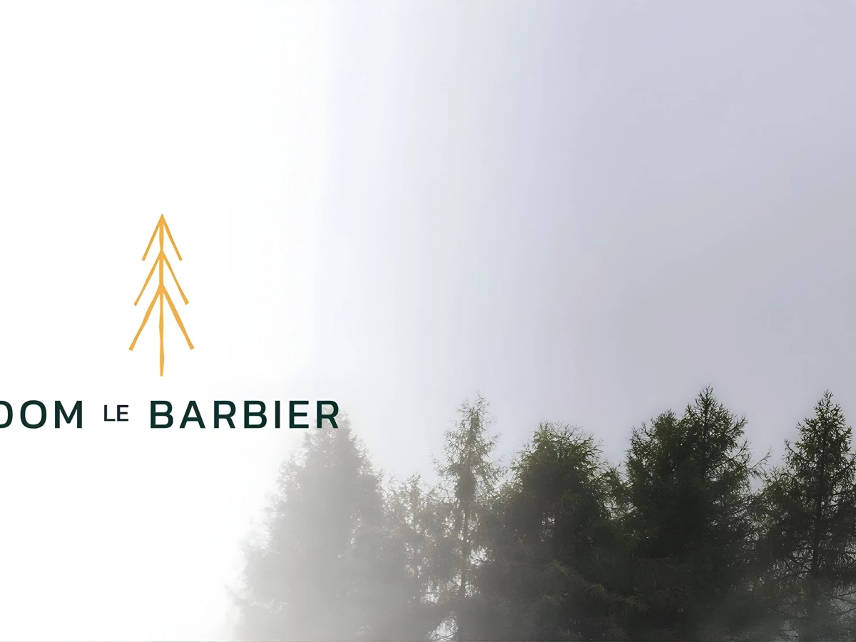 Dom Le Barbier Logo Design by Pixel CG