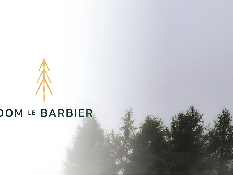 Dom Le Barbier Logo Design by Pixel CG