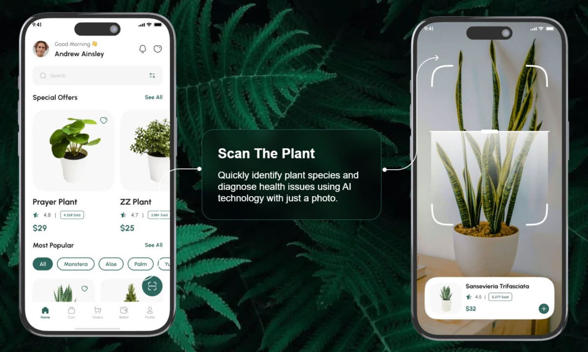 Clean dashboard organizes plant care and product discovery