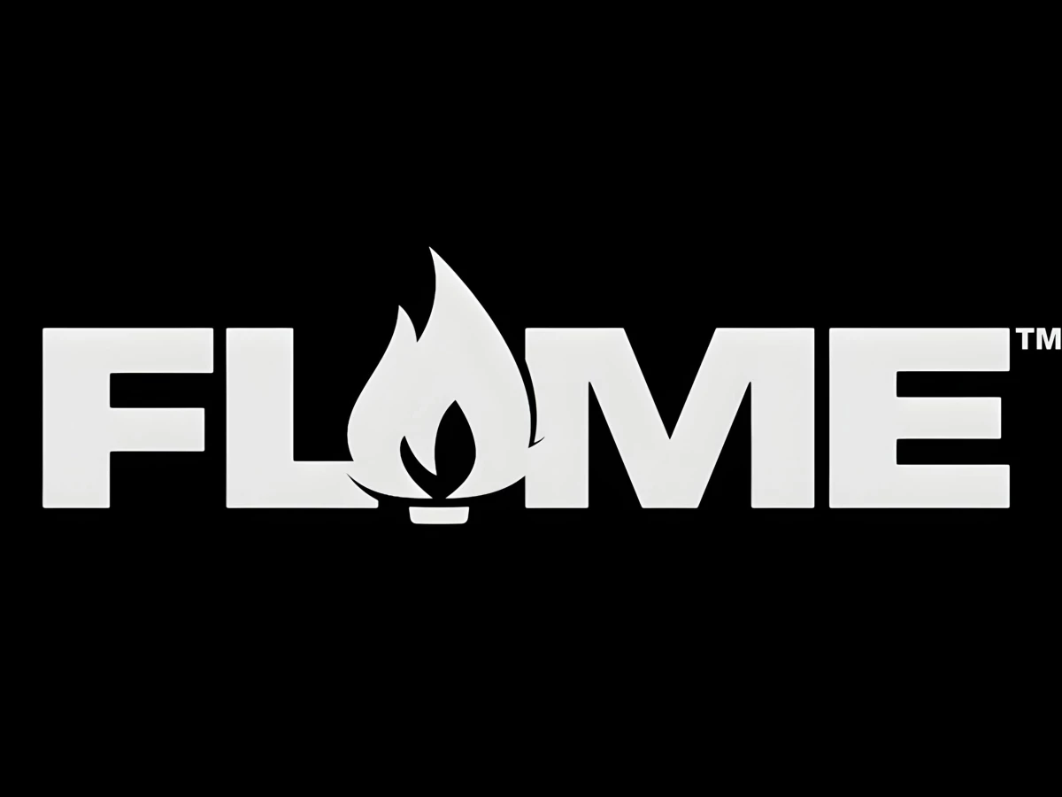 Flame Paint Logo Design by Maryan Ivasyk