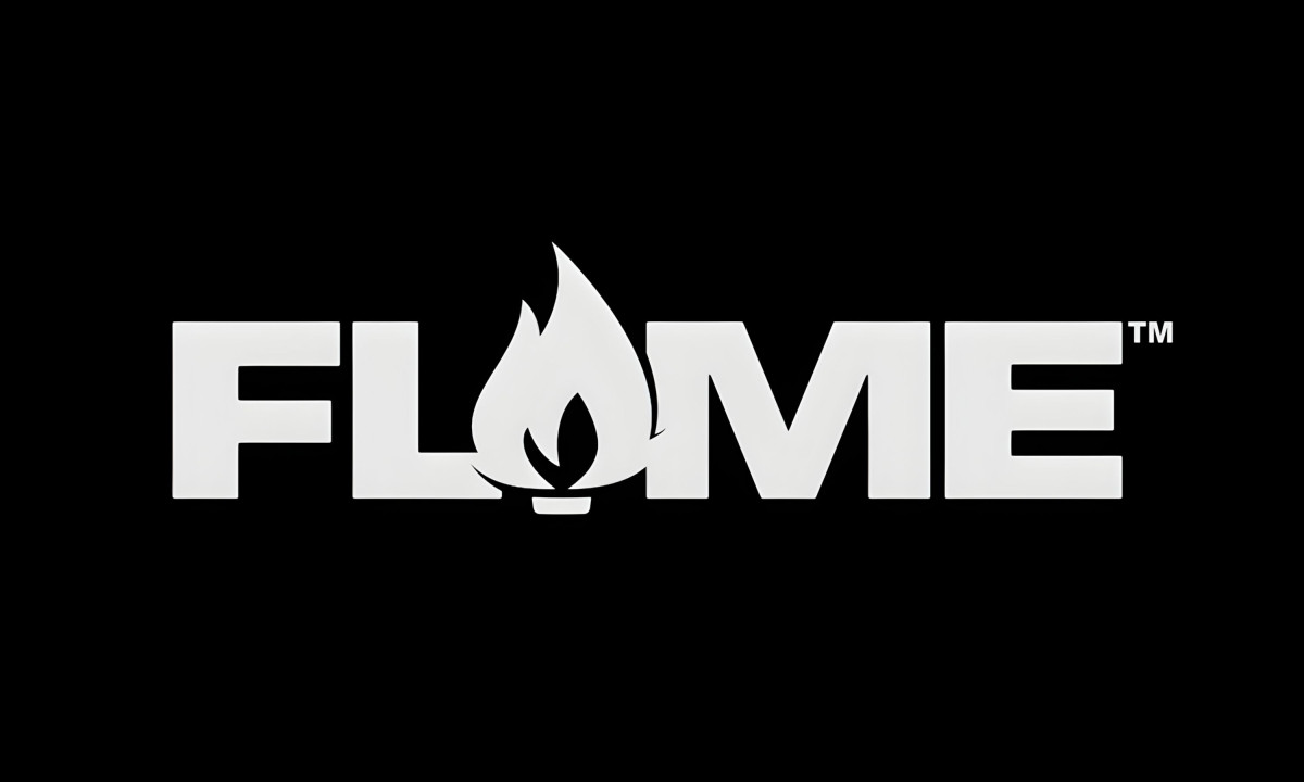 Flame Paint Logo Design by Maryan Ivasyk