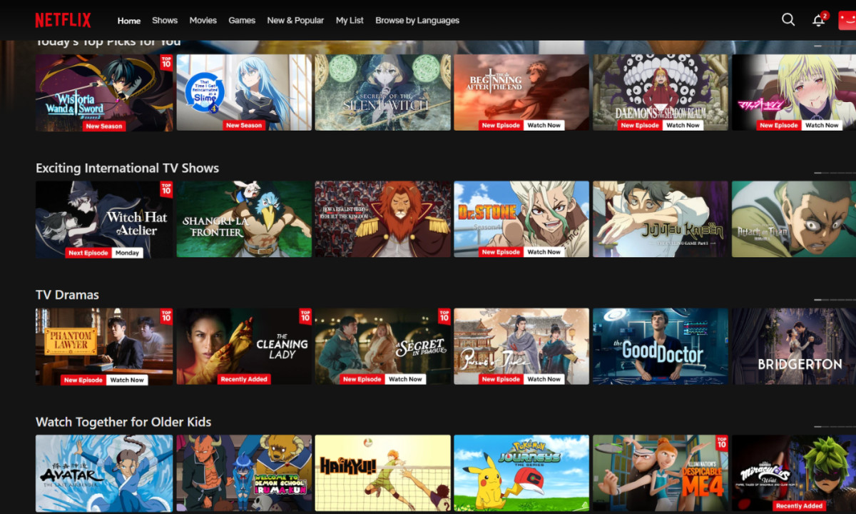Netflix Top Website Design