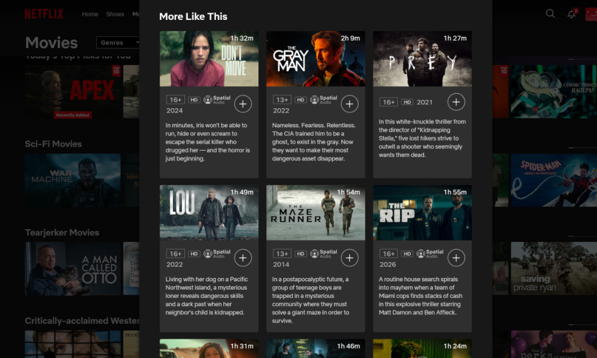 Netflix Logo Website Design