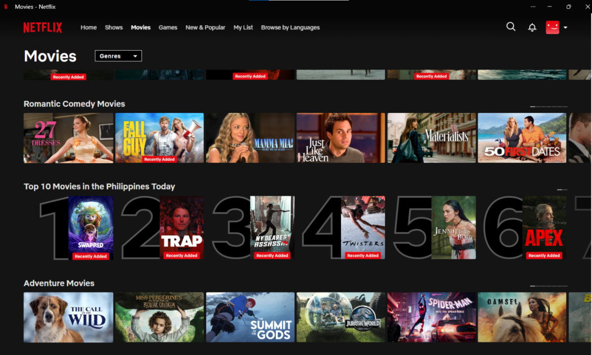 Netflix Streaming Website Design
