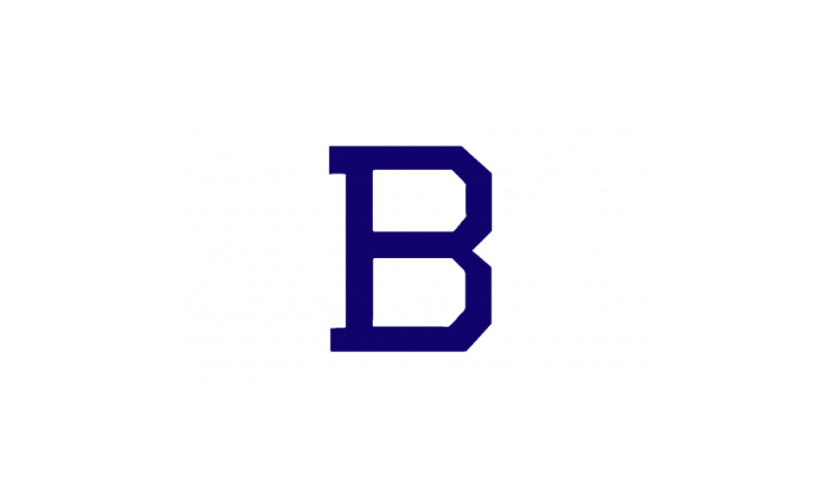 The New York Yankees Logo Design 1902