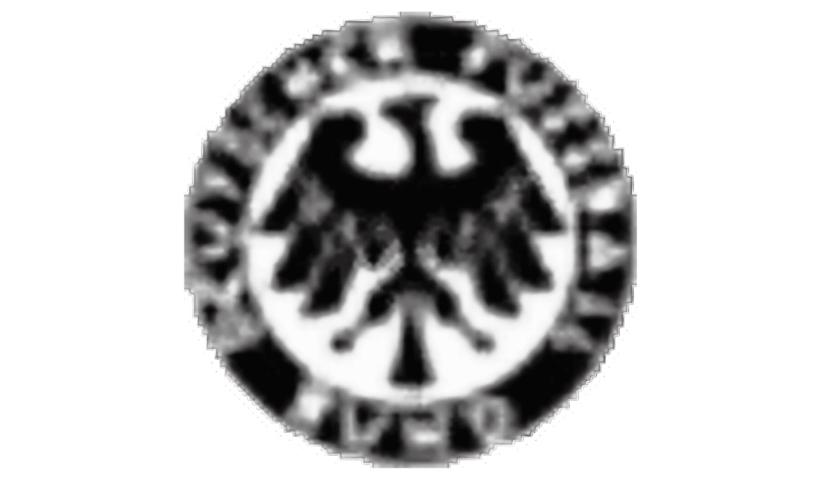 German National Football Team Logo History: (slide 7)