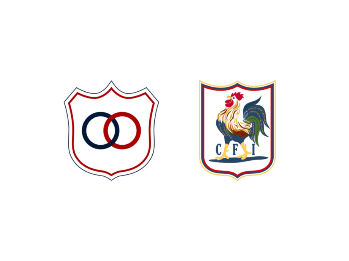 France National Football Team Logo History (slide 2)