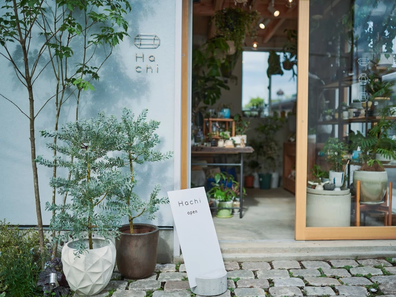 Hachi Green & Garden Logo Design by Tegusu