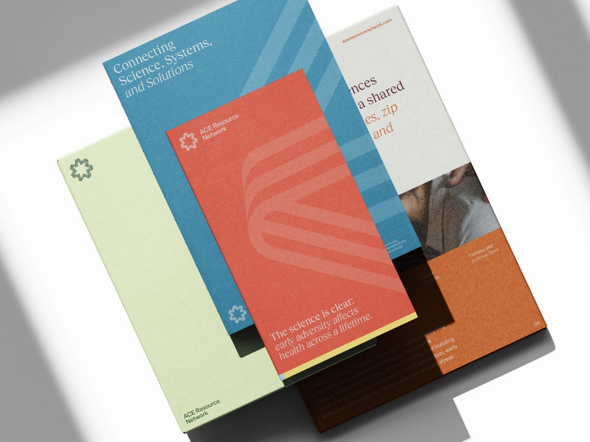 Stack of colorful ACE Resource Network informational brochures.