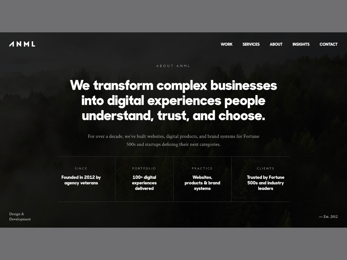 ANML Studio Website Design