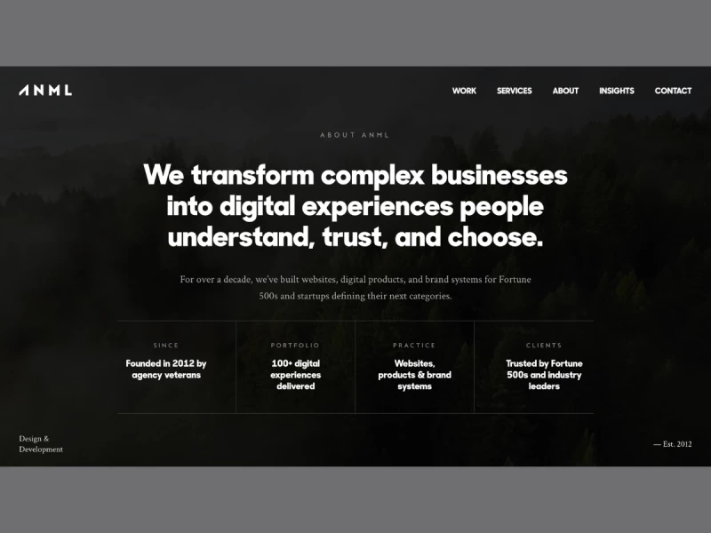 ANML Studio Website Design