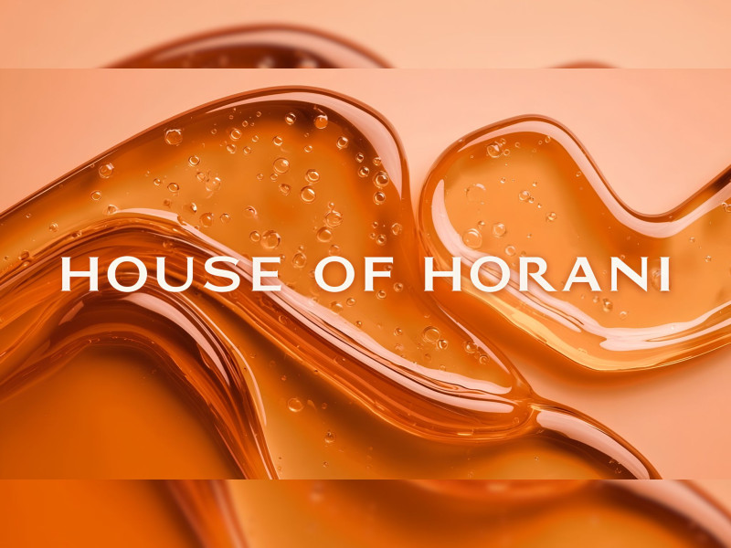 House of Horani Logo Design by JetStyle