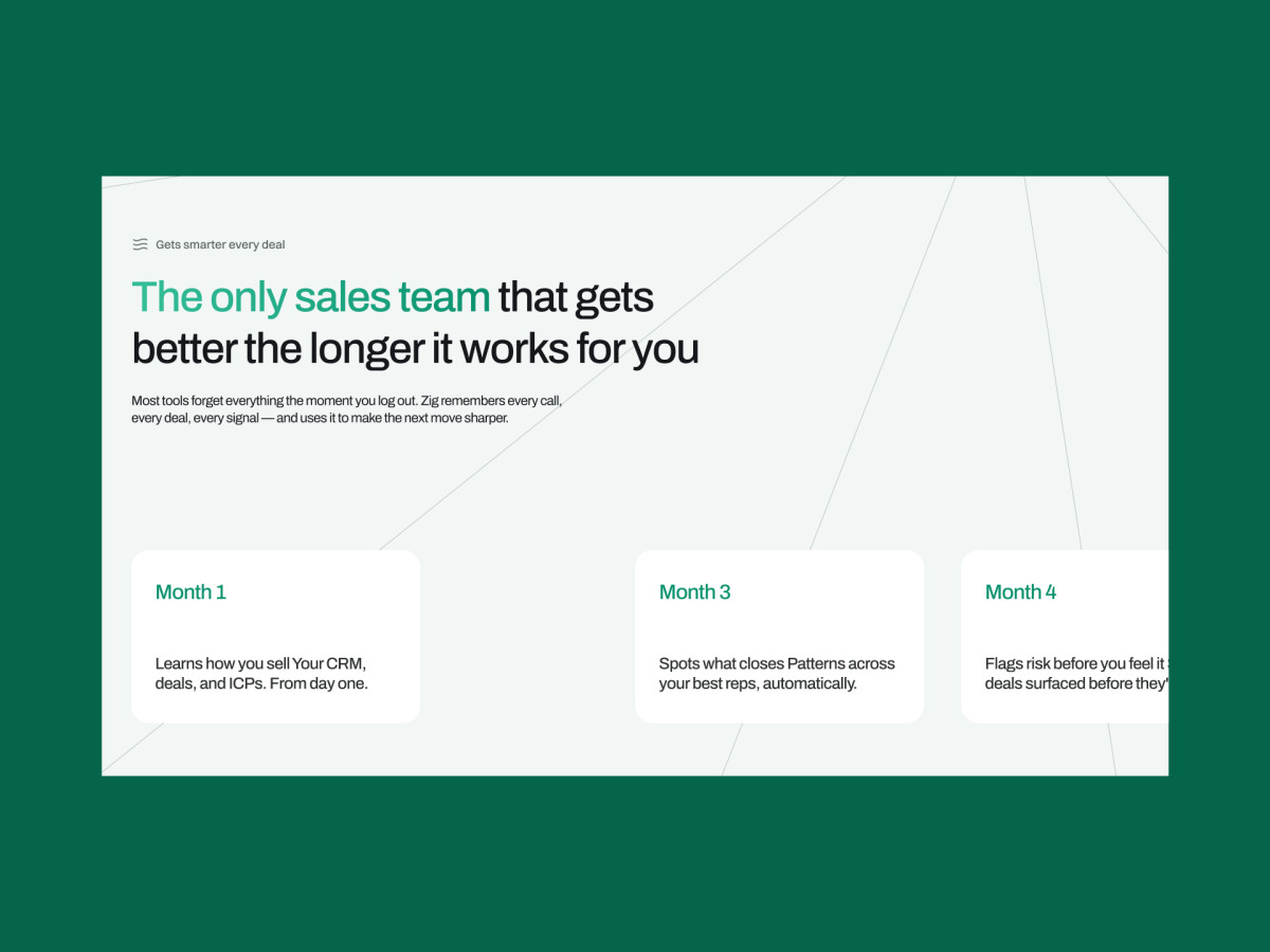 Zig.ai webpage detailing platform improvement over time.