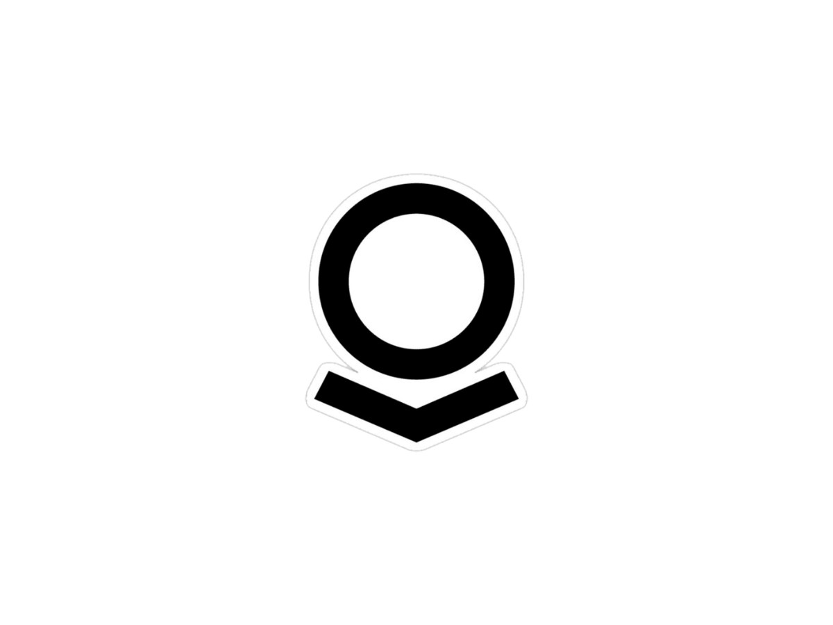 Palantir Logo (slide 5)