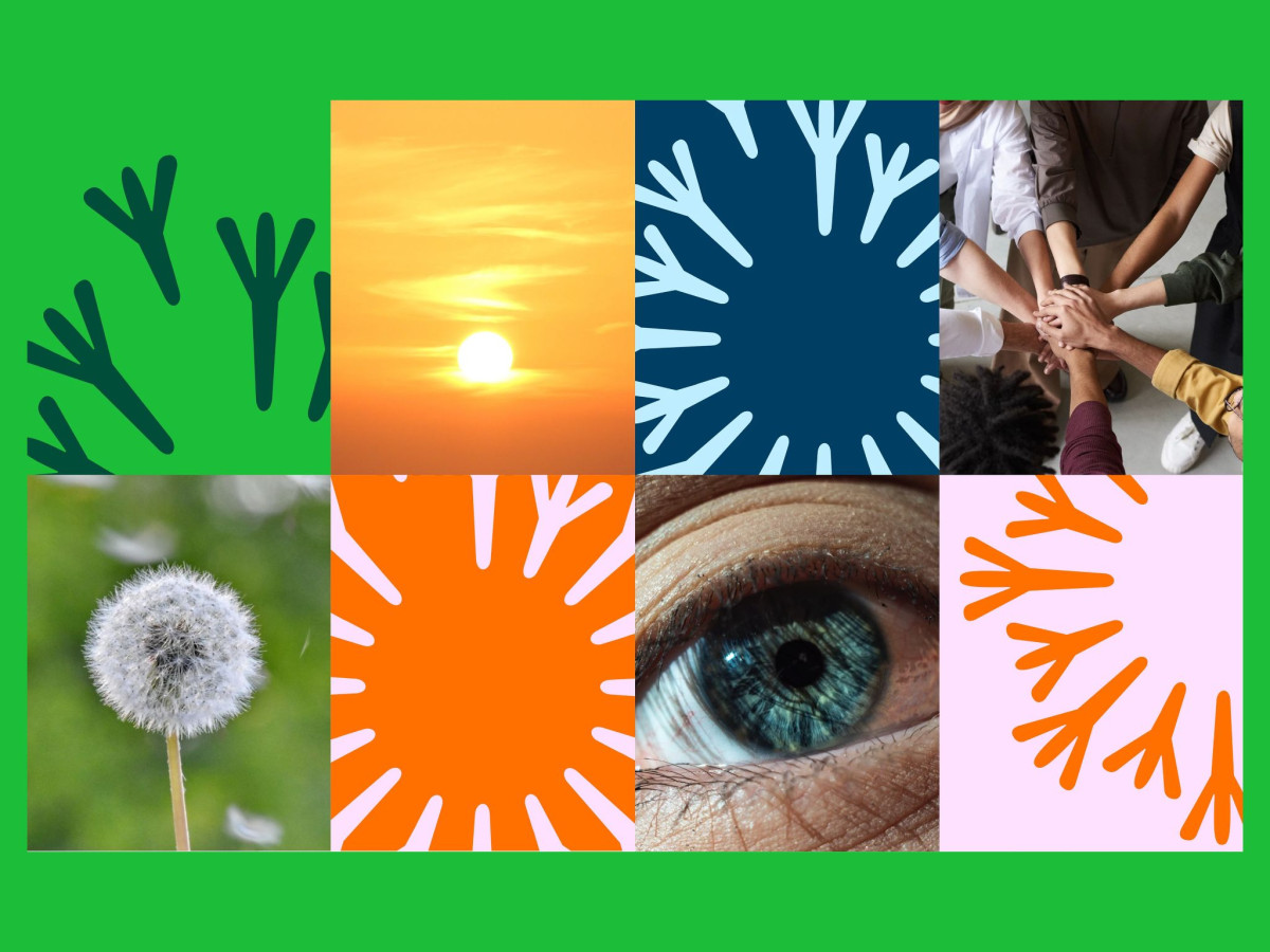 Grid of logo shapes, a dandelion, sun, hands, and eye.