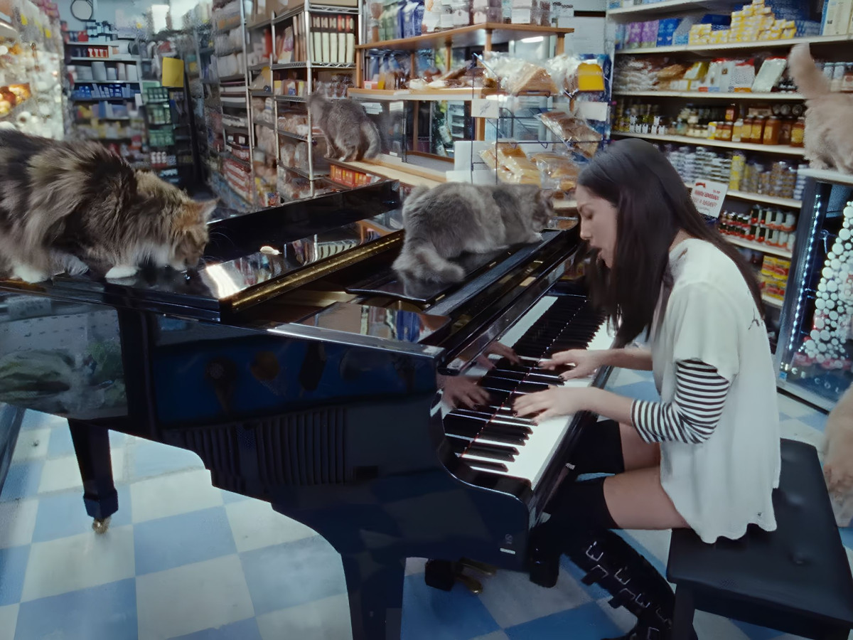 Olivia Rodrigo playing piano in a store with cats.
