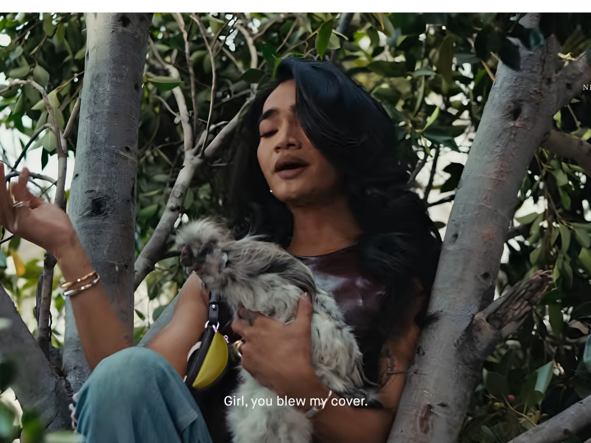 Person in a tree holding a fluffy pet.