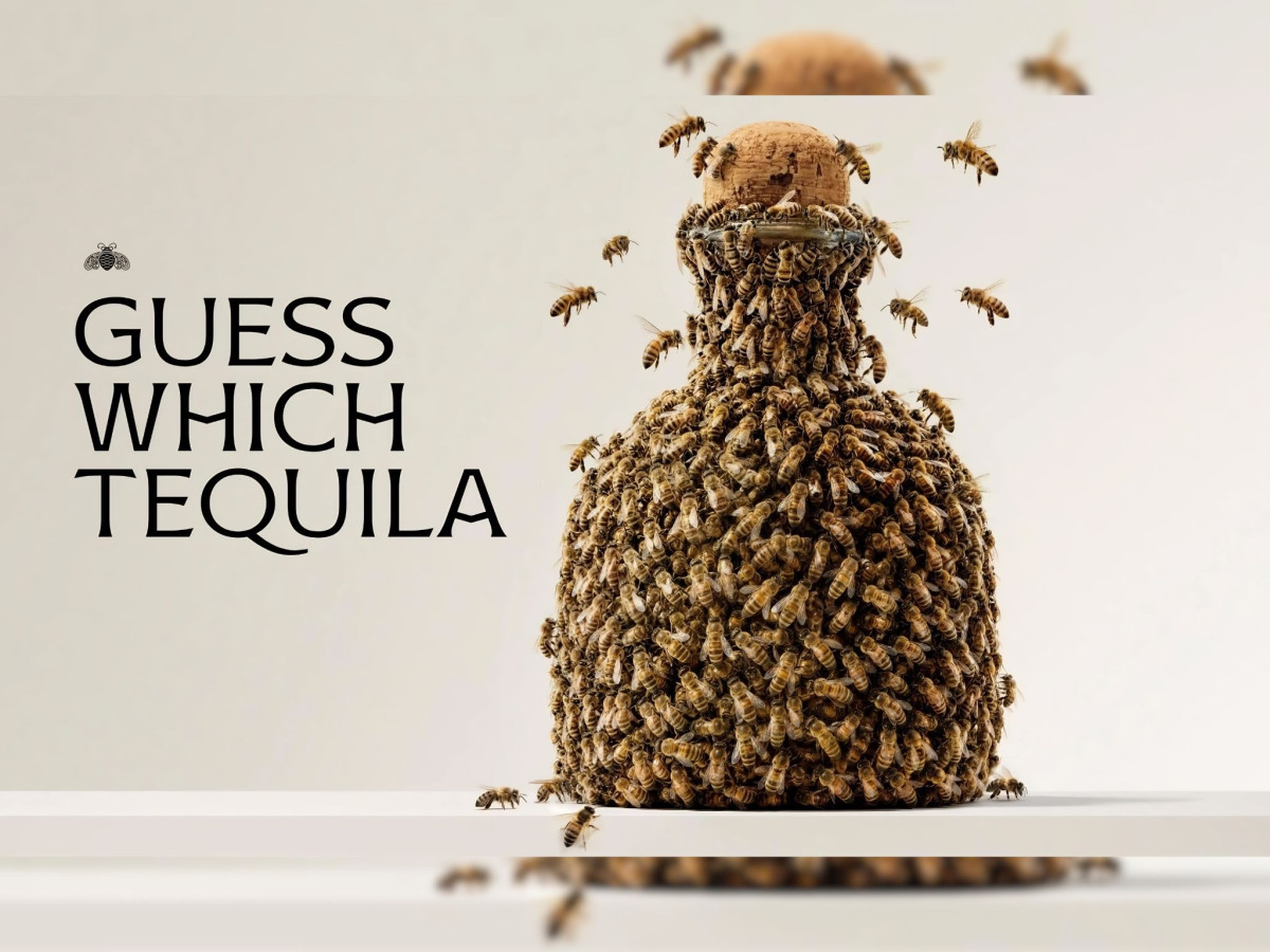Bees covering a Patrón bottle.