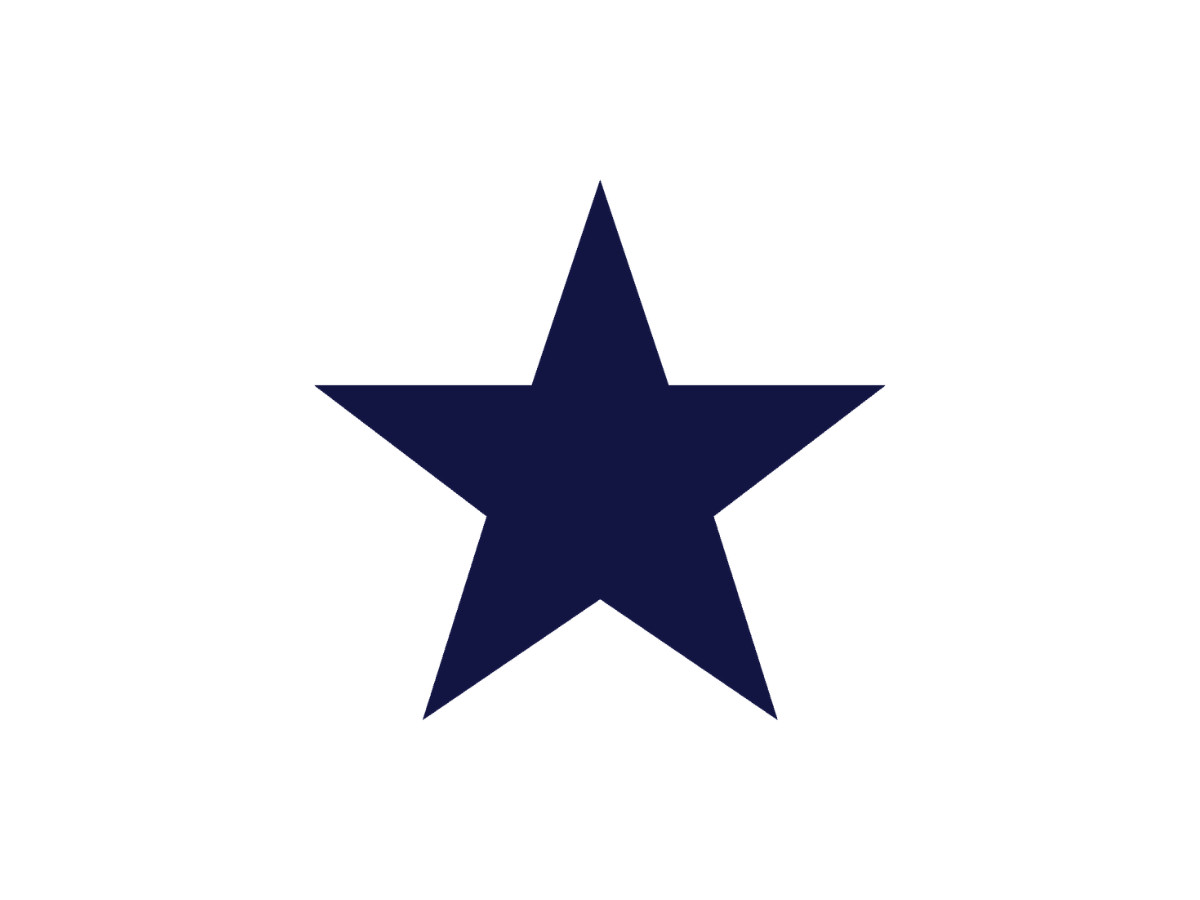 Dallas Cowboys Logo (slide 2)