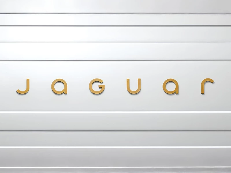 Jaguar Logo Design