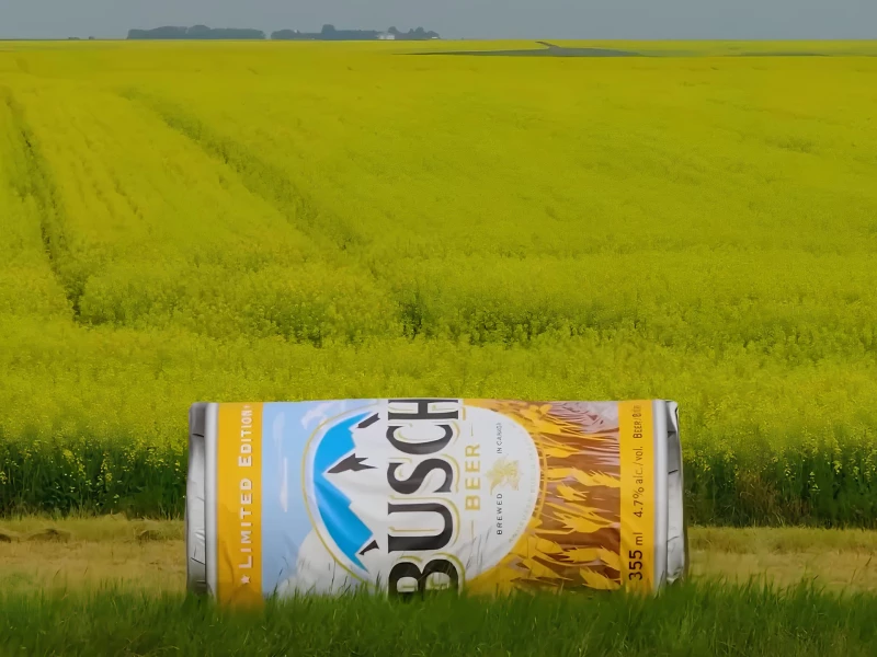 Busch Baleboards Print Design by Citizen Relations Canada