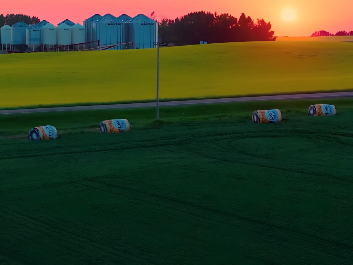 Aerial view of Busch beer can hay bales lined up in a field at sunset.