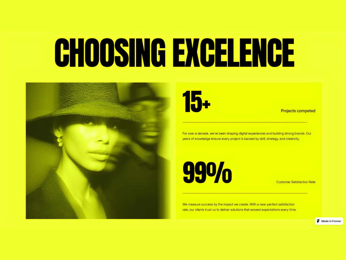 "Choosing Excellence" section showing statistics and a blurry photo.