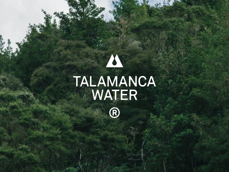 Talamanca Water Logo Design by Debut
