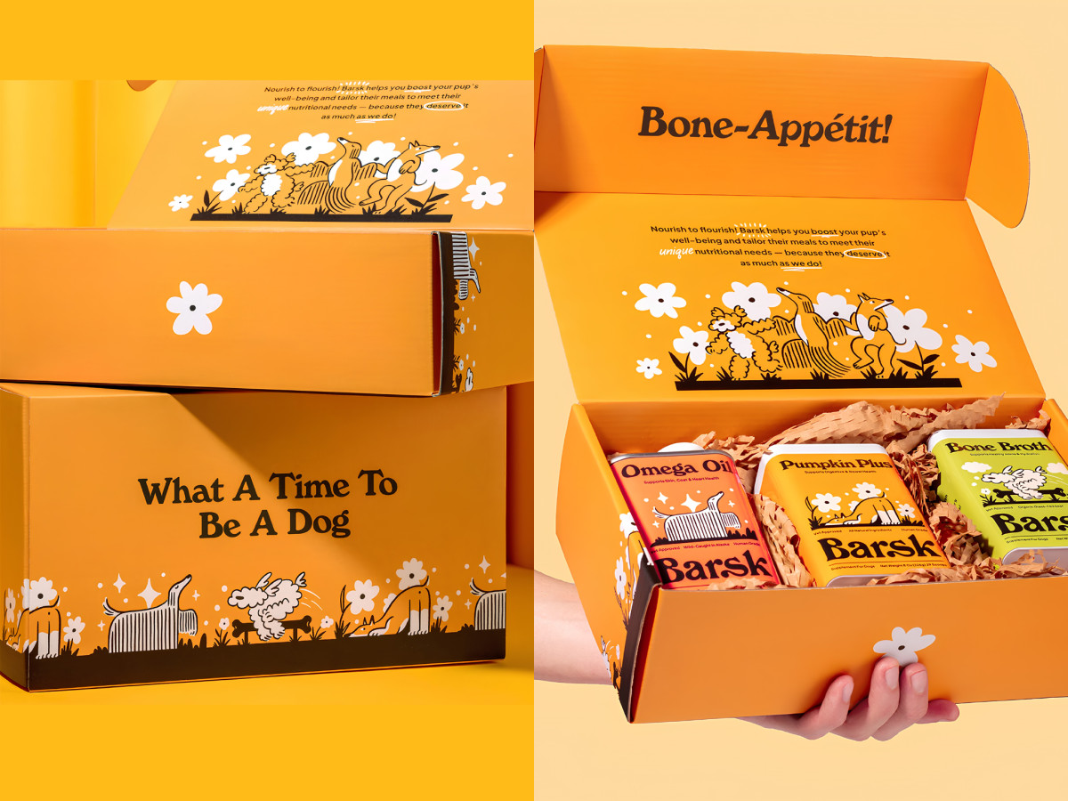 Open Barsk shipping box containing three dog supplement products.