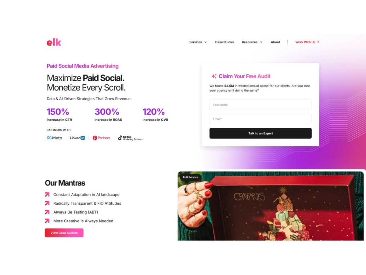 Paid social section showing performance metrics and lead form.