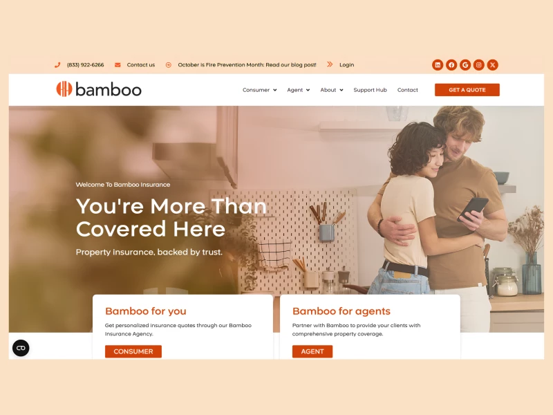 Bamboo Insurance Website Design by Big Red Jelly