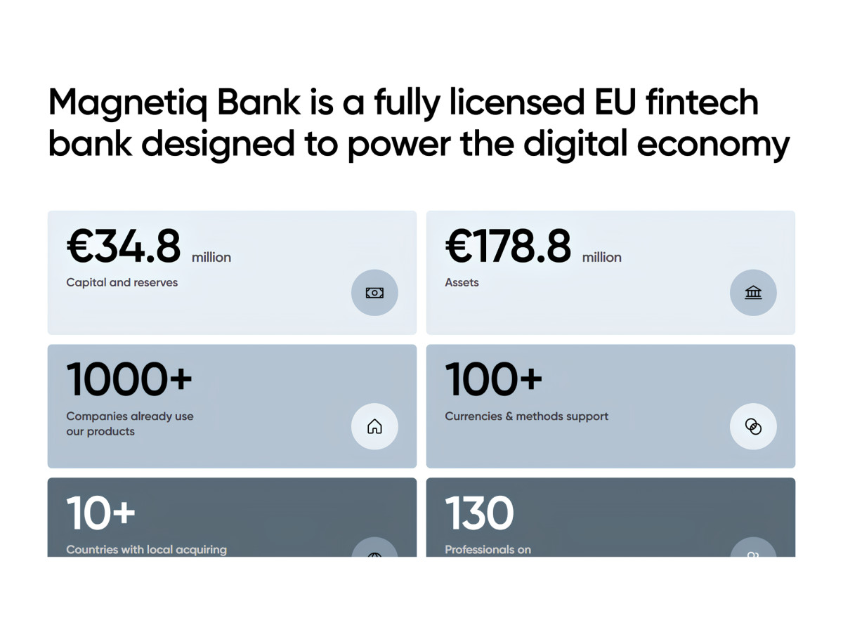 Grid of key figures displaying Magnetiq Bank's financial statistics.