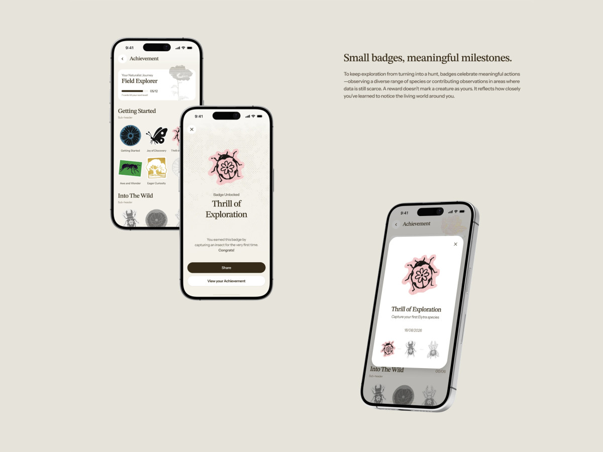 Wildtrace app screens displaying illustrated insect achievement badges.