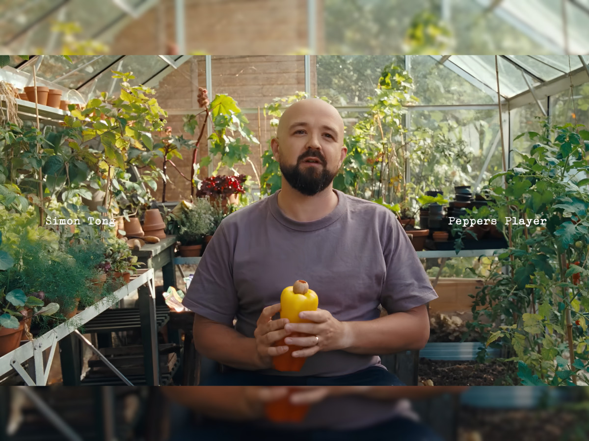 Man holding a bell pepper instrument in a greenhouse.