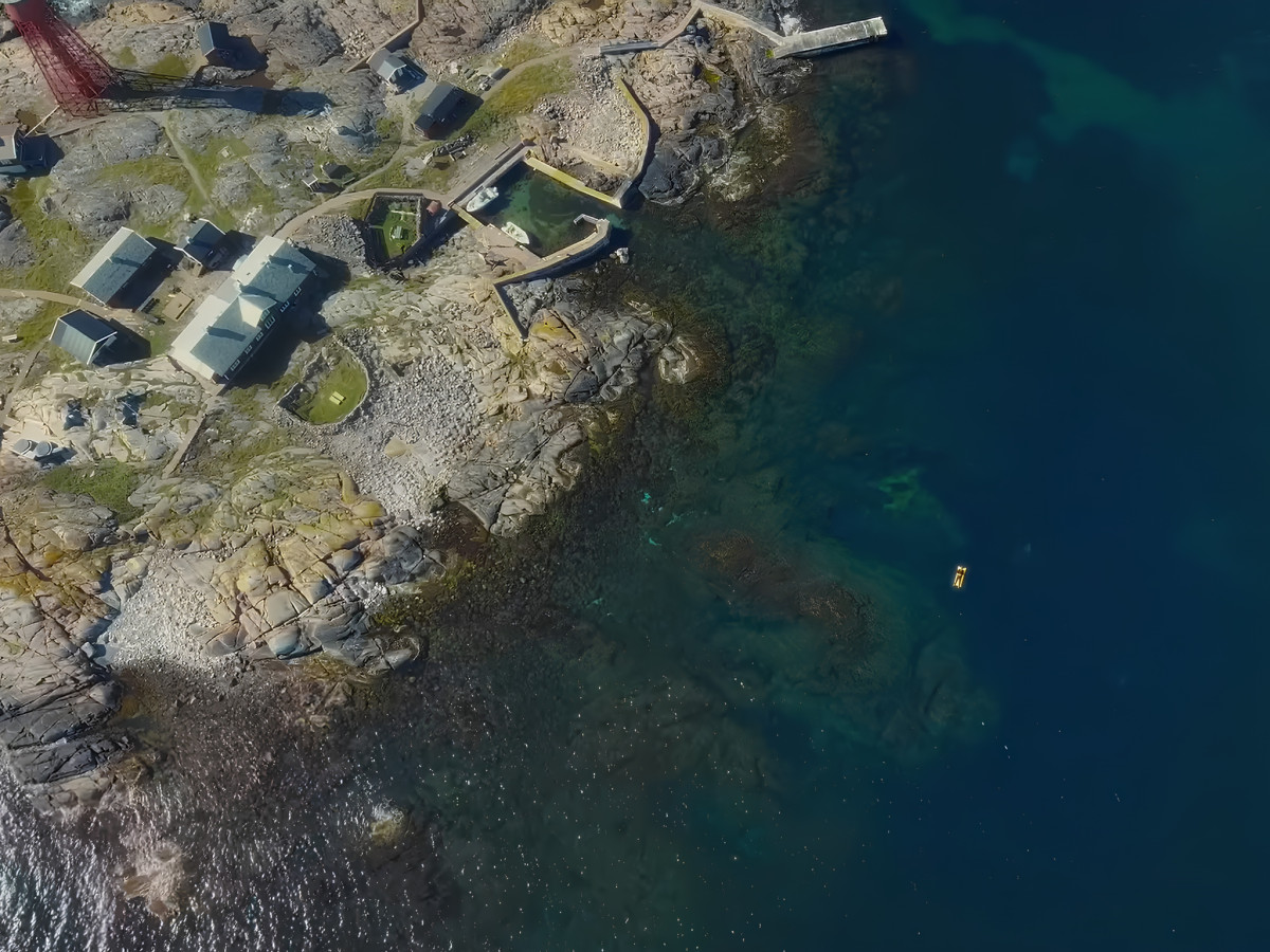 Aerial view of a solitary swimmer along a coastline.