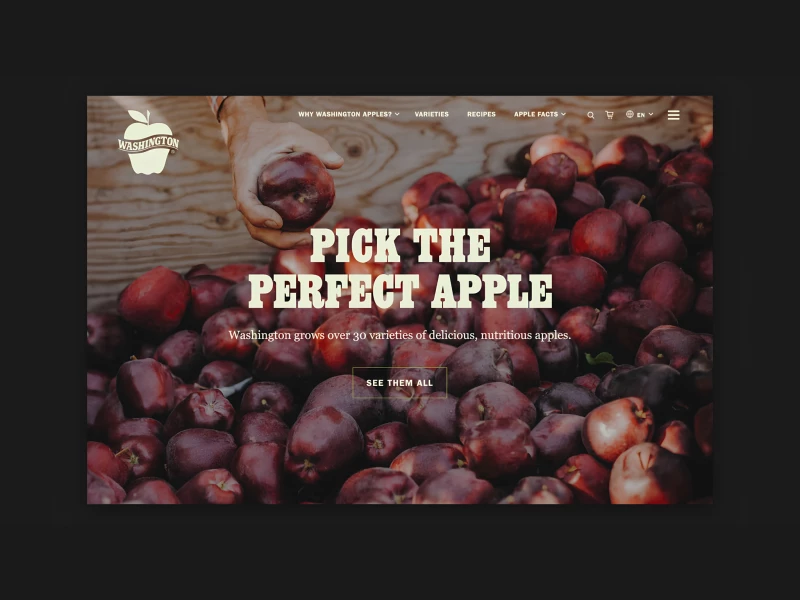 Washington Apple Commission Website Design
