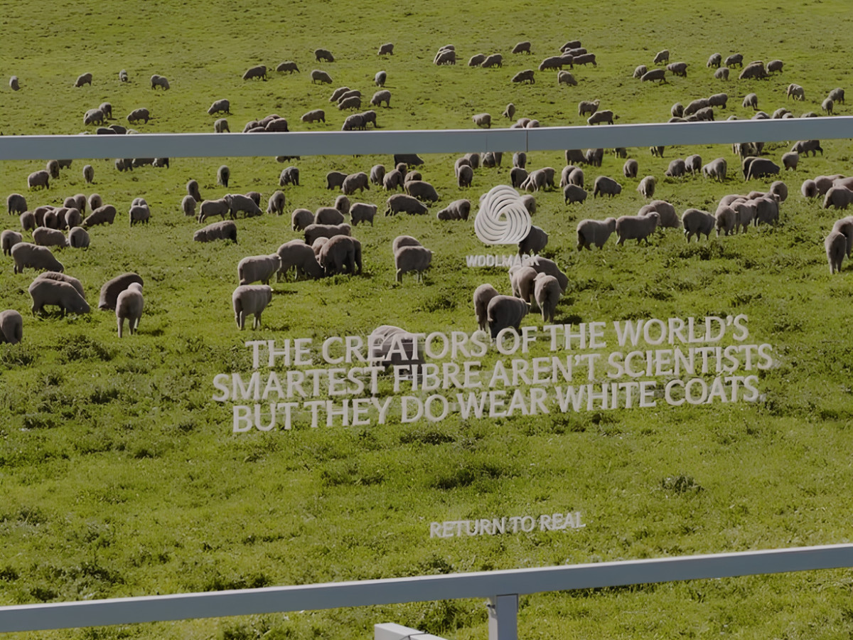 Transparent billboard set in a sheep pasture with text.