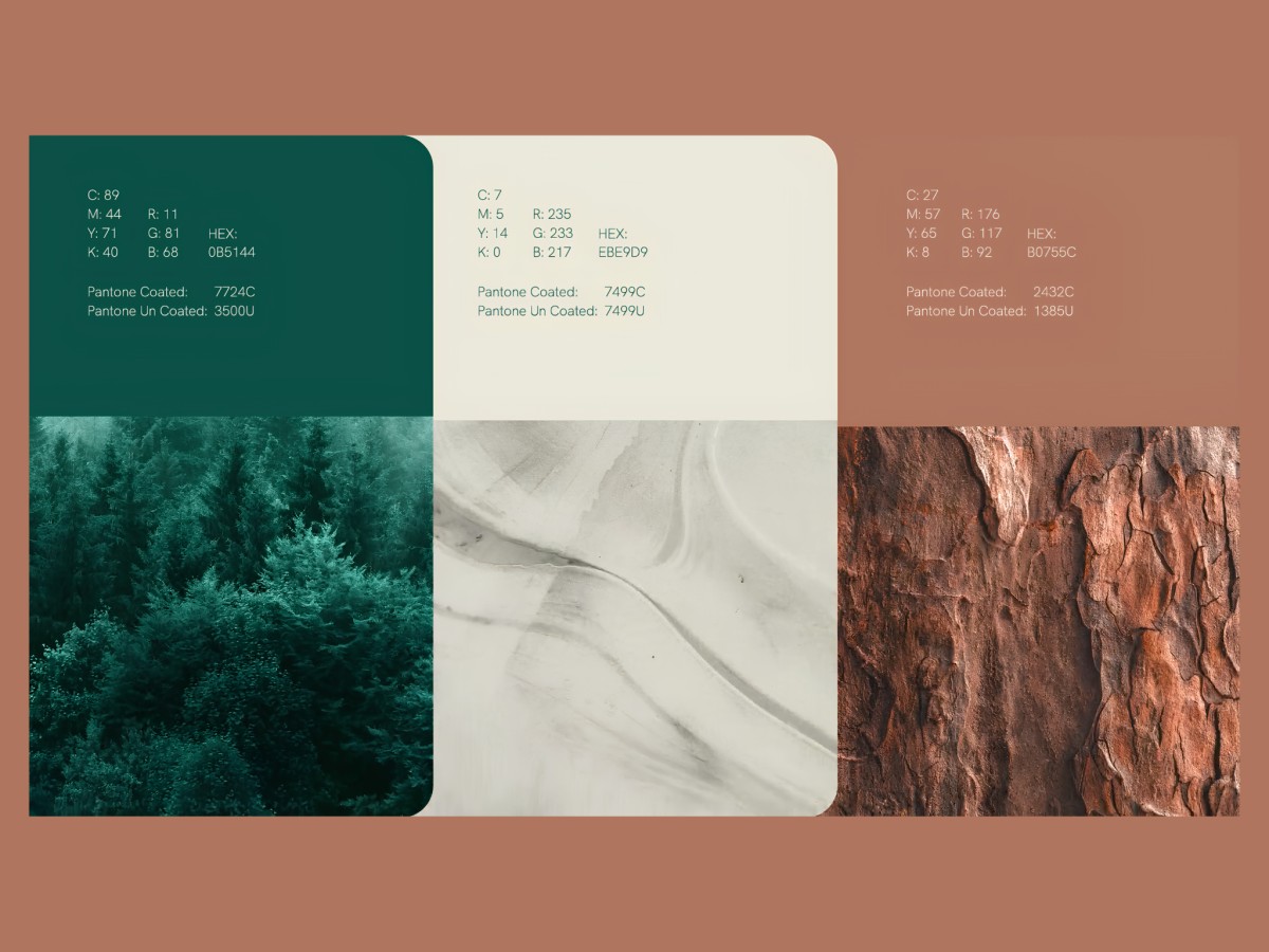 Wecircle color palette swatches paired with natural texture photos.