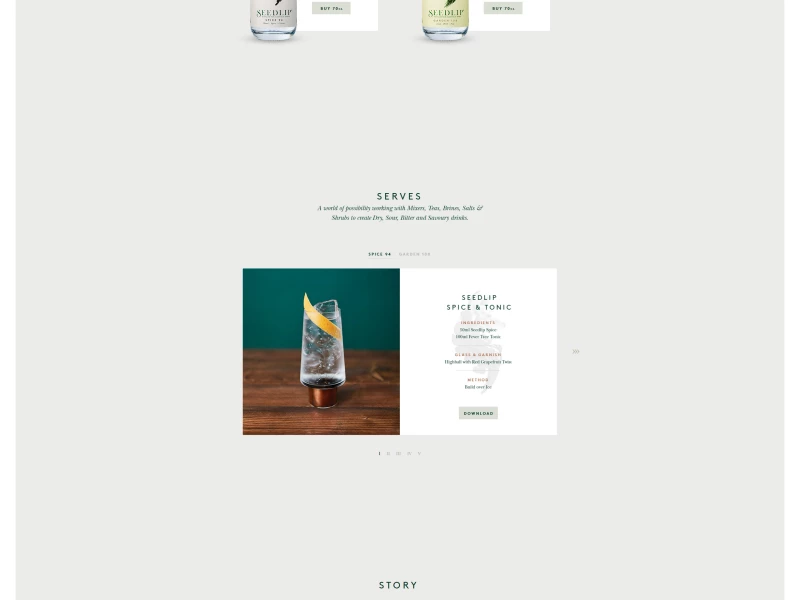 Seedlip Clean Website Design