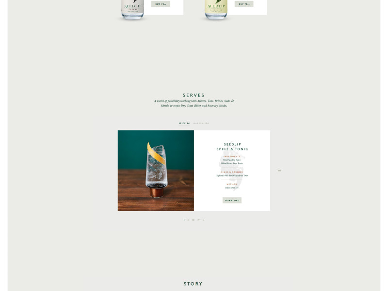 Seedlip Clean Website Design