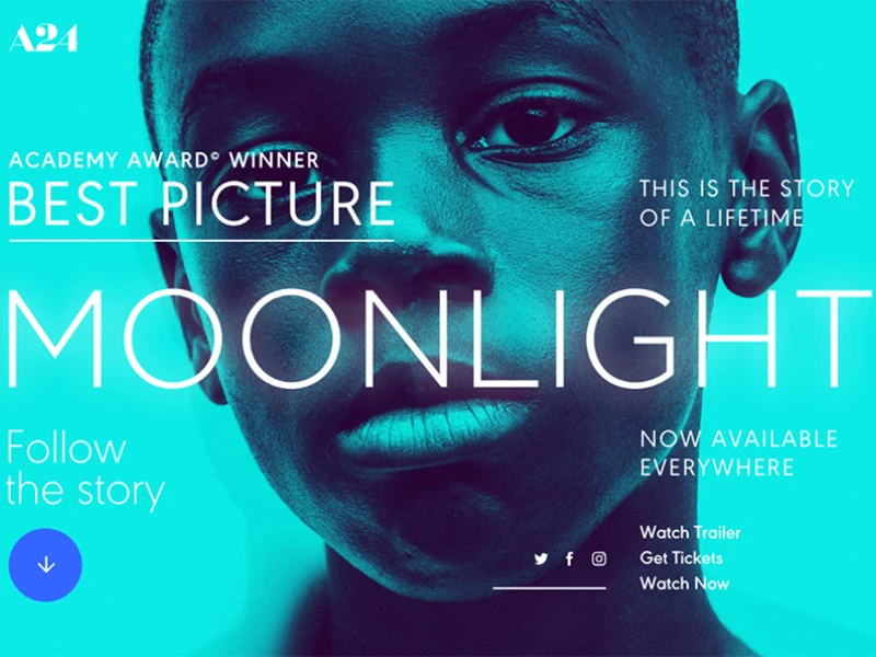 Moonlight Beautiful Website Design