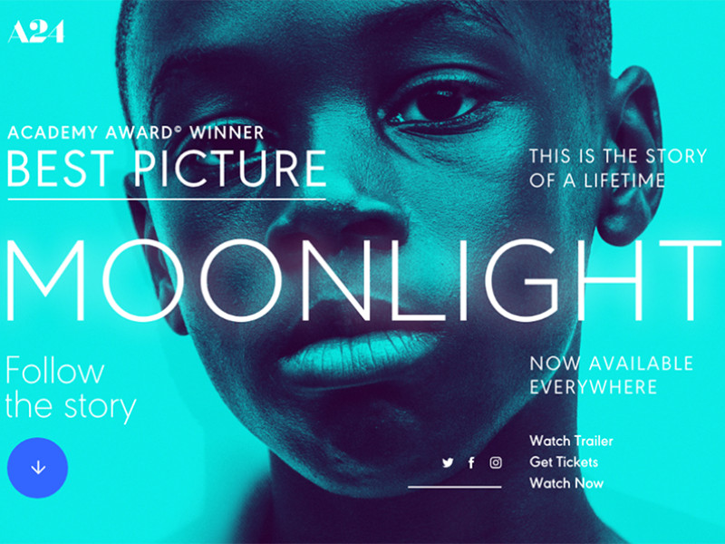 Moonlight Beautiful Website Design