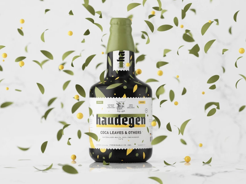 Haudegen Beer Cool Packaging Design