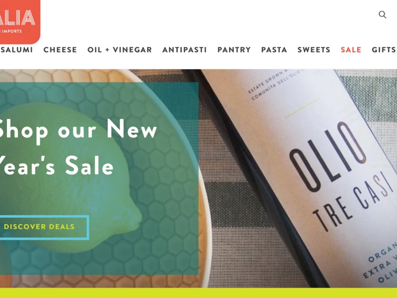 Ditalia Top Website Design