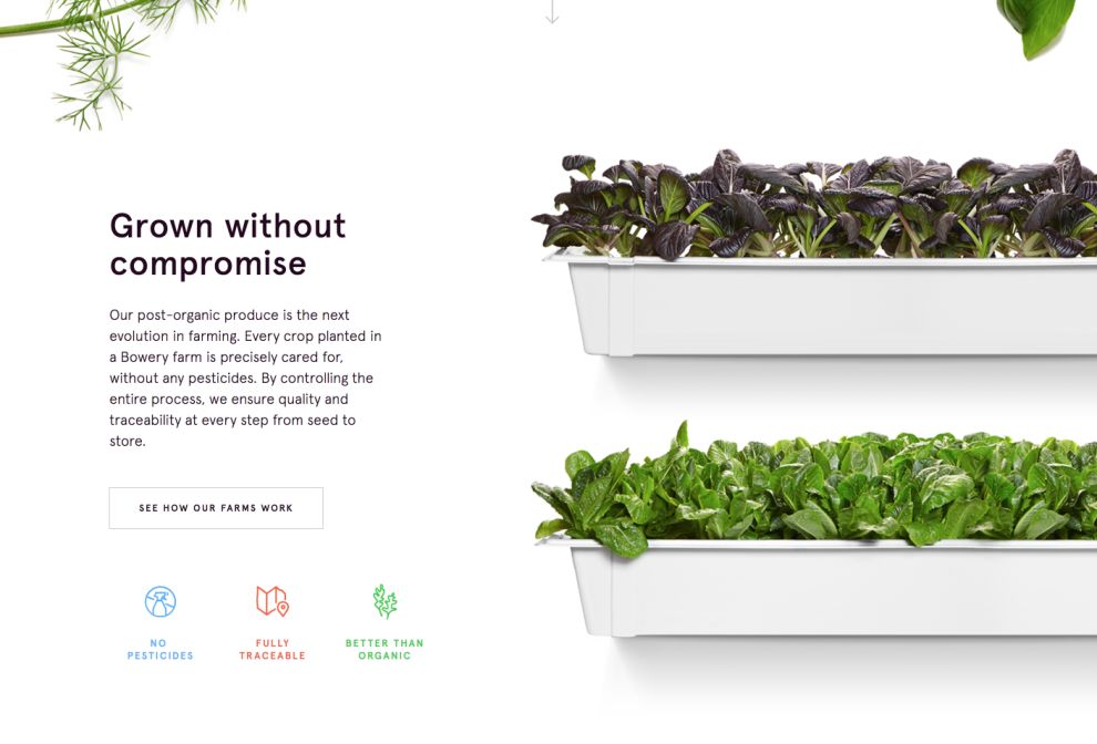 Bowery Colorful Website Design