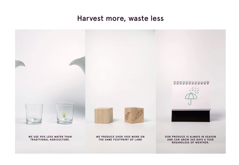 Bowery Fun Website Design